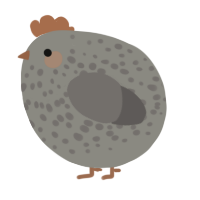 A ash and grey chicken with a speckle pattern