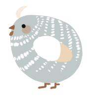A silver and cream chicken with a bar pattern