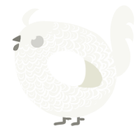 A white chicken with a double-lace pattern