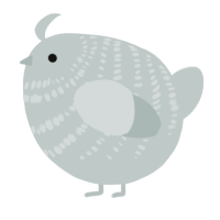 A silver chicken with a bar pattern