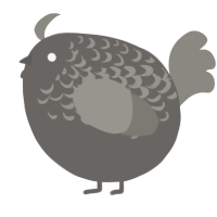 A grey and ash chicken with a half-lace pattern