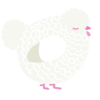 A white chicken with a lace pattern