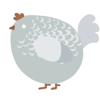 A silver and mist chicken with a half-lace pattern