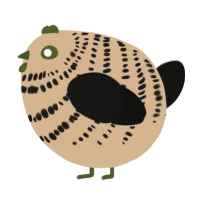 A beige and black chicken with a bar pattern