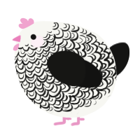 A white and black chicken with a double-lace pattern