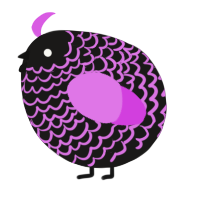 A sable and orchid chicken with a lace pattern