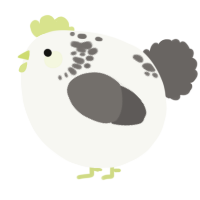 A white and grey chicken with a neck-speckle pattern