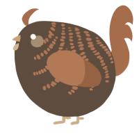 A bark and brown chicken with a half-bar pattern