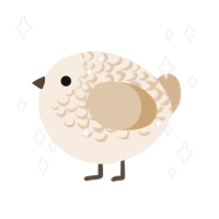 A cream and beige chicken with a half-lace pattern