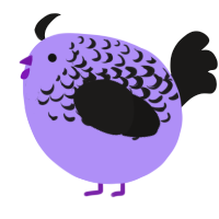 A lilac and sable chicken with a half-lace pattern