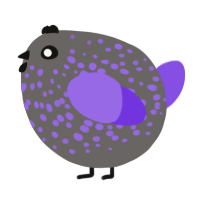 A grey and blurple chicken with a speckle pattern