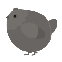 A grey chicken with a head pattern