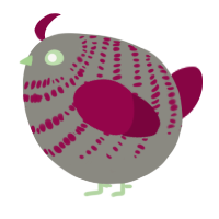 A ash and maroon chicken with a bar pattern