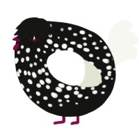 A black and white chicken with a speckle pattern