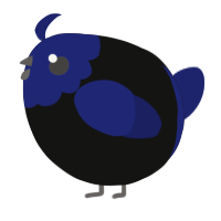 A black and navy chicken with a head pattern