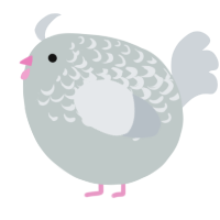 A silver and mist chicken with a half-lace pattern