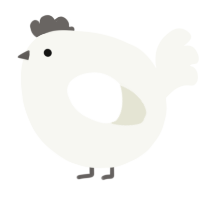 A white chicken