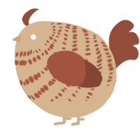 A beige and russet chicken with a bar pattern