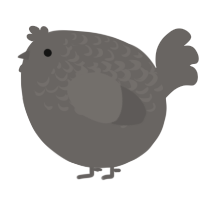 A grey chicken with a half-lace pattern