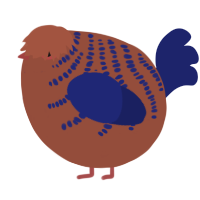A russet and navy chicken with a half-bar pattern
