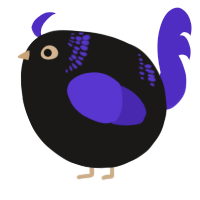A sable and indigo chicken with a neck-band pattern