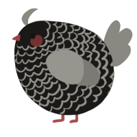 A sable and ash chicken with a lace pattern