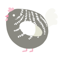 A ash and white chicken with a half-bar pattern