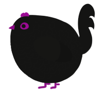 A black chicken with a double-lace pattern