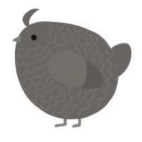 A grey chicken with a lace pattern
