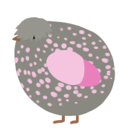 A ash and pink chicken with a speckle pattern