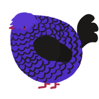 A indigo and sable chicken with a lace pattern