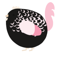 A sable and rose chicken with a half-lace pattern