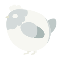 A white and silver chicken with a head pattern