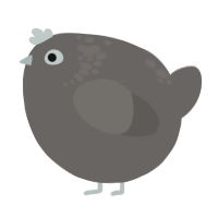 A grey chicken with a neck-speckle pattern