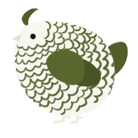 A white and olive chicken with a lace pattern