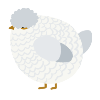 A white and mist chicken with a lace pattern