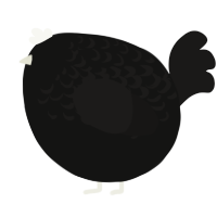 A black and sable chicken with a half-lace pattern