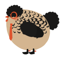 A beige and sable chicken with a half-lace pattern