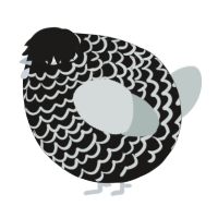 A sable and silver chicken with a lace pattern