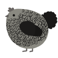 A ash and sable chicken with a double-lace pattern