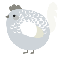 A mist and white chicken with a half-lace pattern
