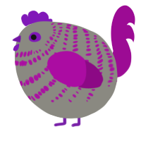 A ash and plum chicken with a bar pattern