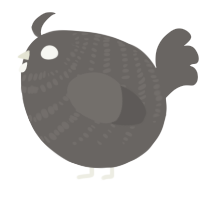 A grey chicken with a bar pattern