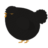 A sable chicken with a lace pattern