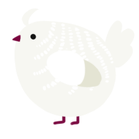 A white chicken with a half-bar pattern