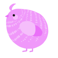 A lavender chicken with a bar pattern