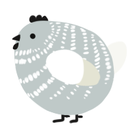 A silver and white chicken with a bar pattern