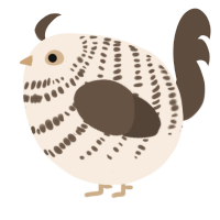 A cream and bark chicken with a bar pattern