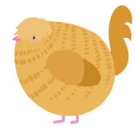 A honey and orange chicken with a bar pattern