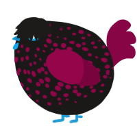 A sable and maroon chicken with a speckle pattern